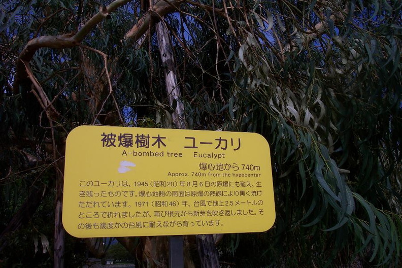 DCP_0658.jpg